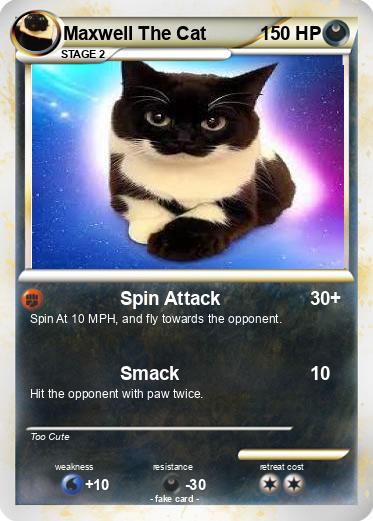 Pokemon Maxwell The Cat