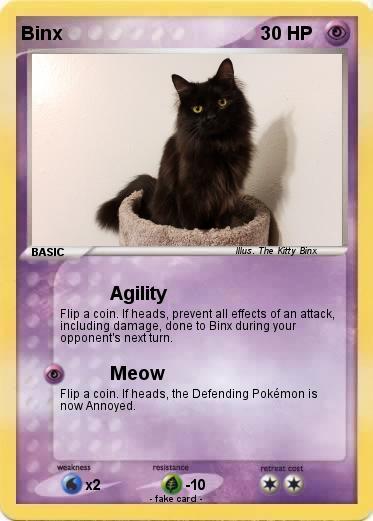 Pokemon Binx