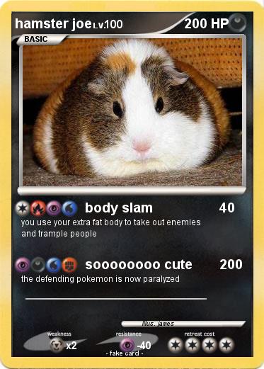 Pokemon hamster joe
