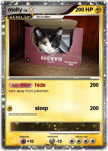 Pokemon molly