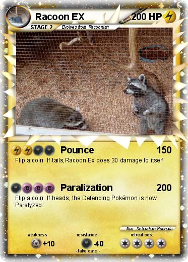 Pokemon Racoon EX