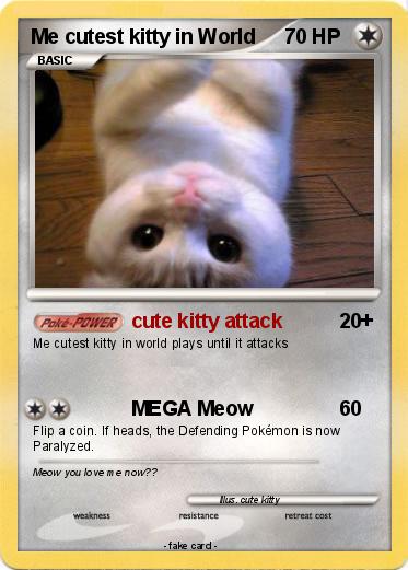Pokemon Me cutest kitty in World
