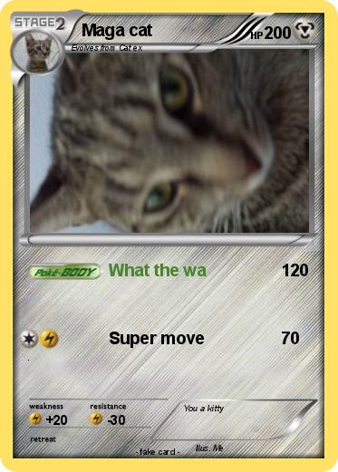 Pokemon Maga cat