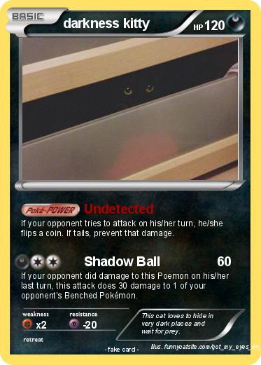 Pokemon darkness kitty