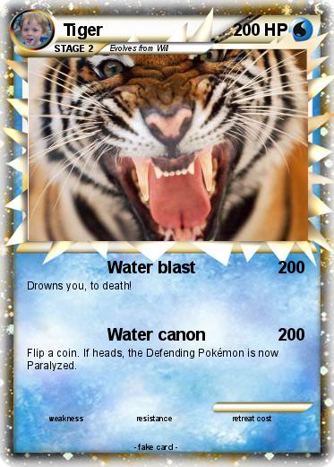 Pokemon Tiger