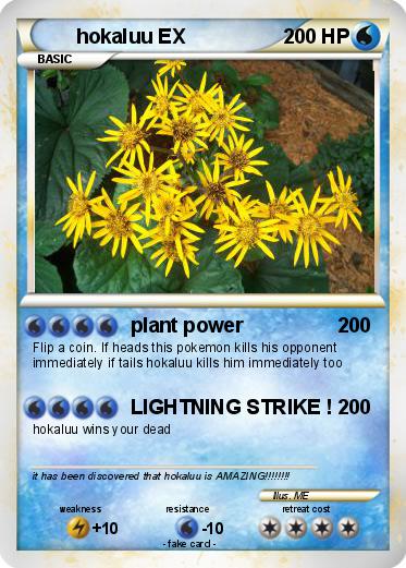 Pokemon hokaluu EX