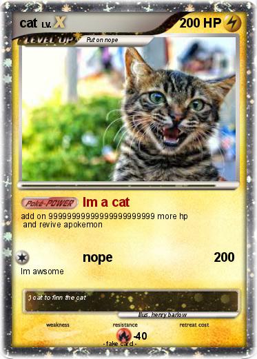 Pokemon cat