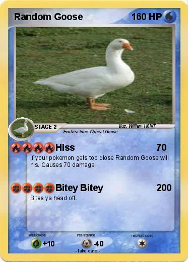 Pokemon Random Goose