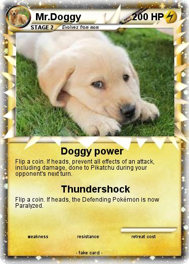 Pokemon Mr.Doggy