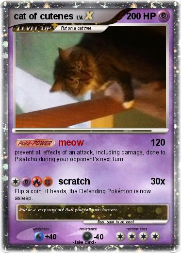 Pokemon cat of cutenes