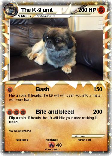 Pokemon The K-9 unit