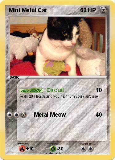 Pokemon Mini Metal Cat