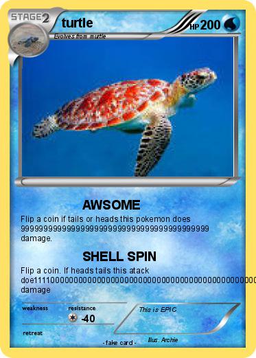 Pokemon turtle