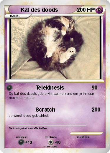 Pokemon Kat des doods