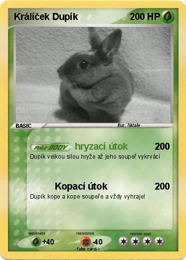 Pokemon Králíček Dupík