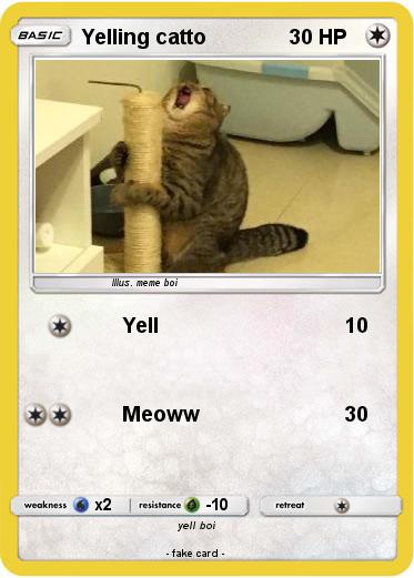 Pokemon Yelling catto