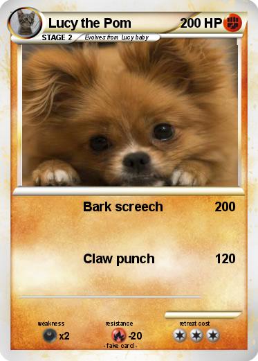 Pokemon Lucy the Pom
