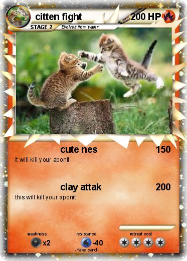 Pokemon citten fight