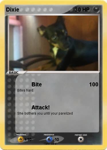 Pokemon Dixie