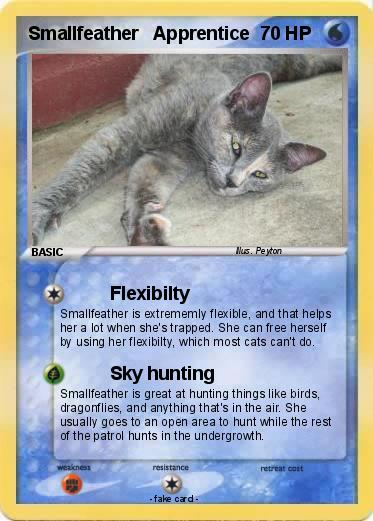 Pokemon Smallfeather   Apprentice