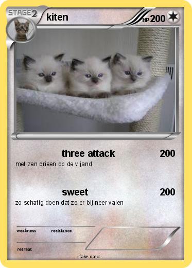 Pokemon kiten