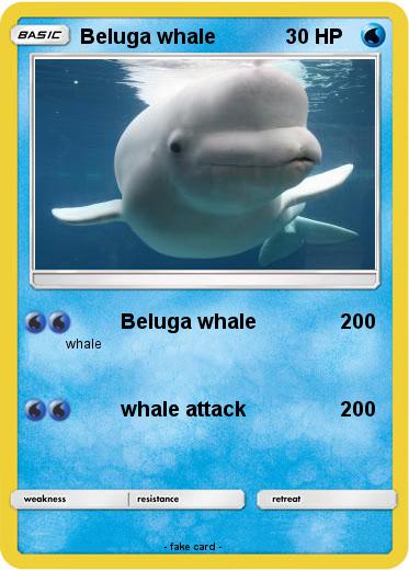 Pokemon Beluga whale