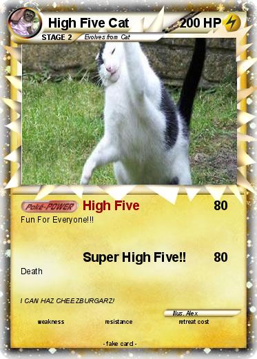 Pokemon High Five Cat
