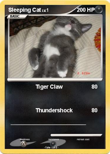 Pokemon Sleeping Cat