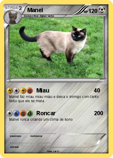 Pokemon Manel