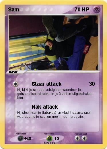 Pokemon Sam