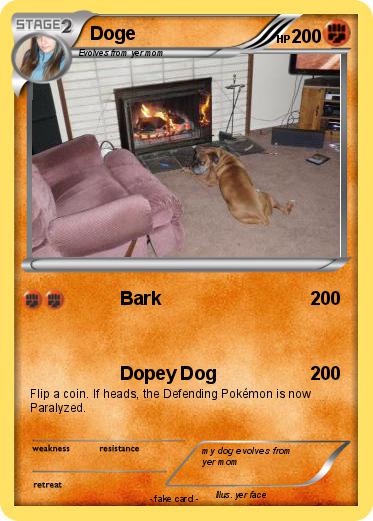 Pokemon Doge