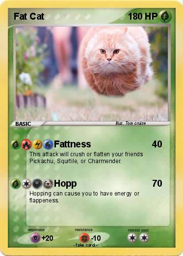Pokemon Fat Cat