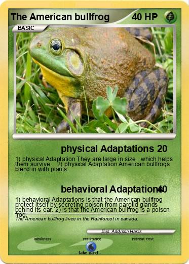 Pokemon The American bullfrog