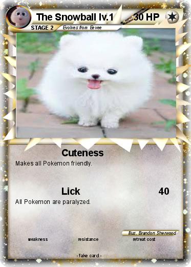 Pokemon The Snowball lv.1