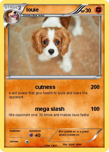Pokemon louie