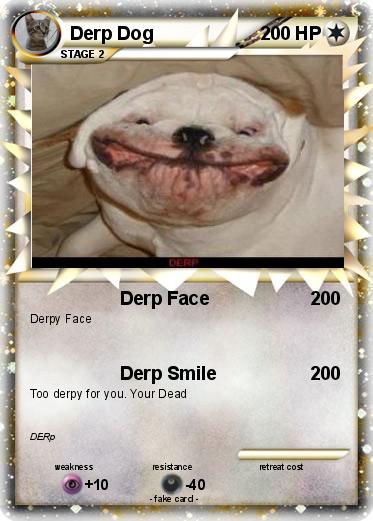 Pokemon Derp Dog