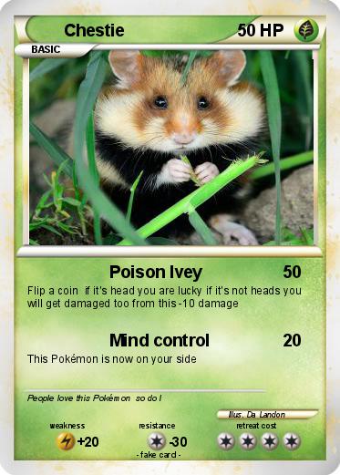 Pokemon Chestie