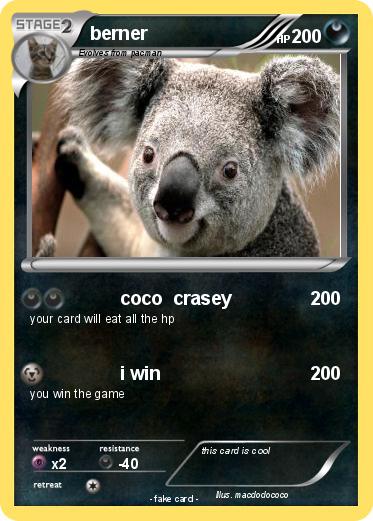Pokemon berner