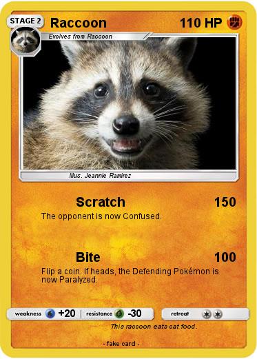 Pokemon Raccoon
