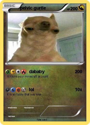 Pokemon pelvic gurtle