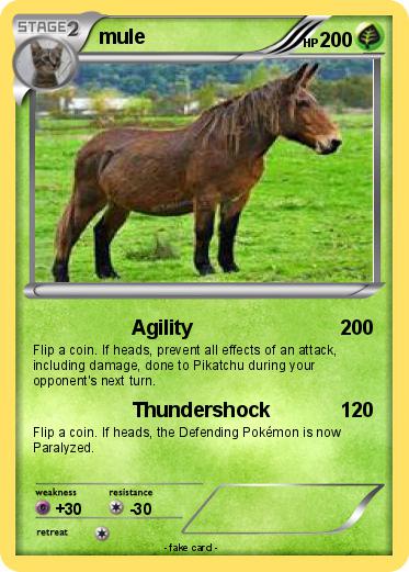 Pokemon mule