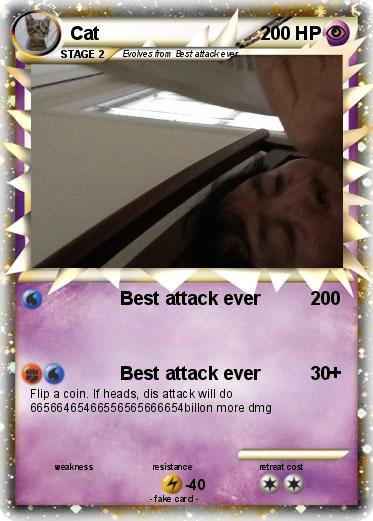 Pokemon Cat