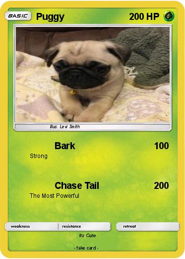 Pokemon Puggy