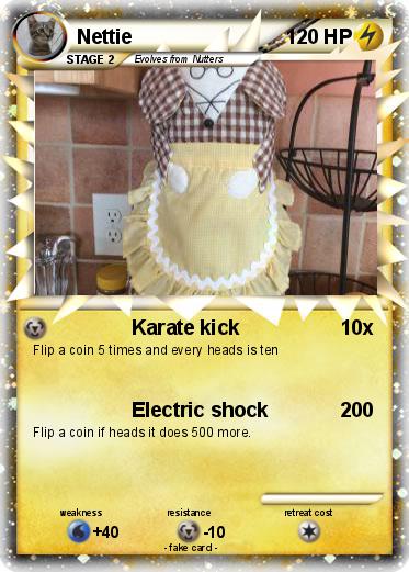 Pokemon Nettie
