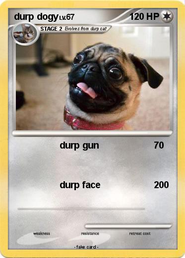Pokemon durp dogy