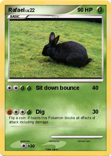 Pokemon Rafael