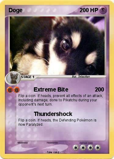 Pokemon Doge