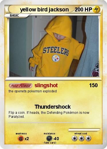 Pokemon yellow bird jackson