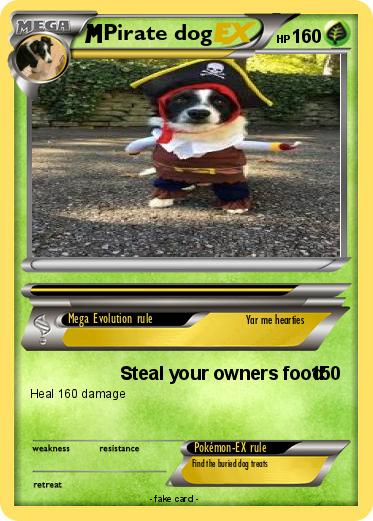 Pokemon Pirate dog