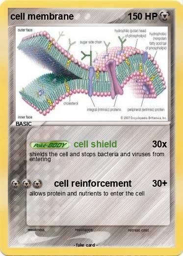 Pokemon cell membrane